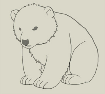 Ako nakresliť medvedíka s ceruzkou v etapách